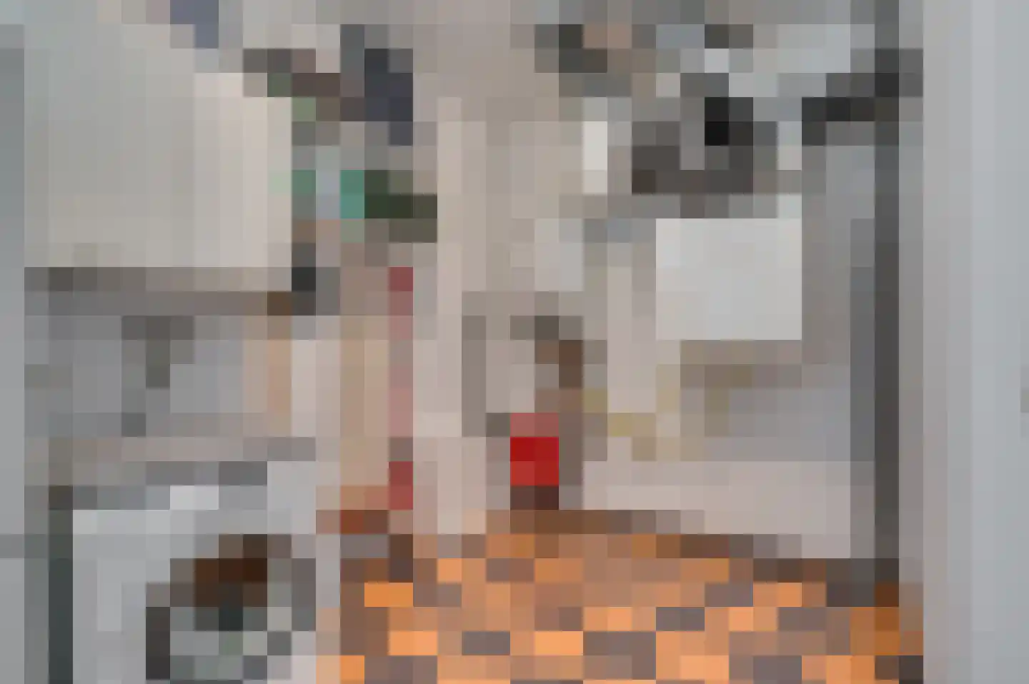 Blariacumstraat 12 Venlo thumbnail 25
