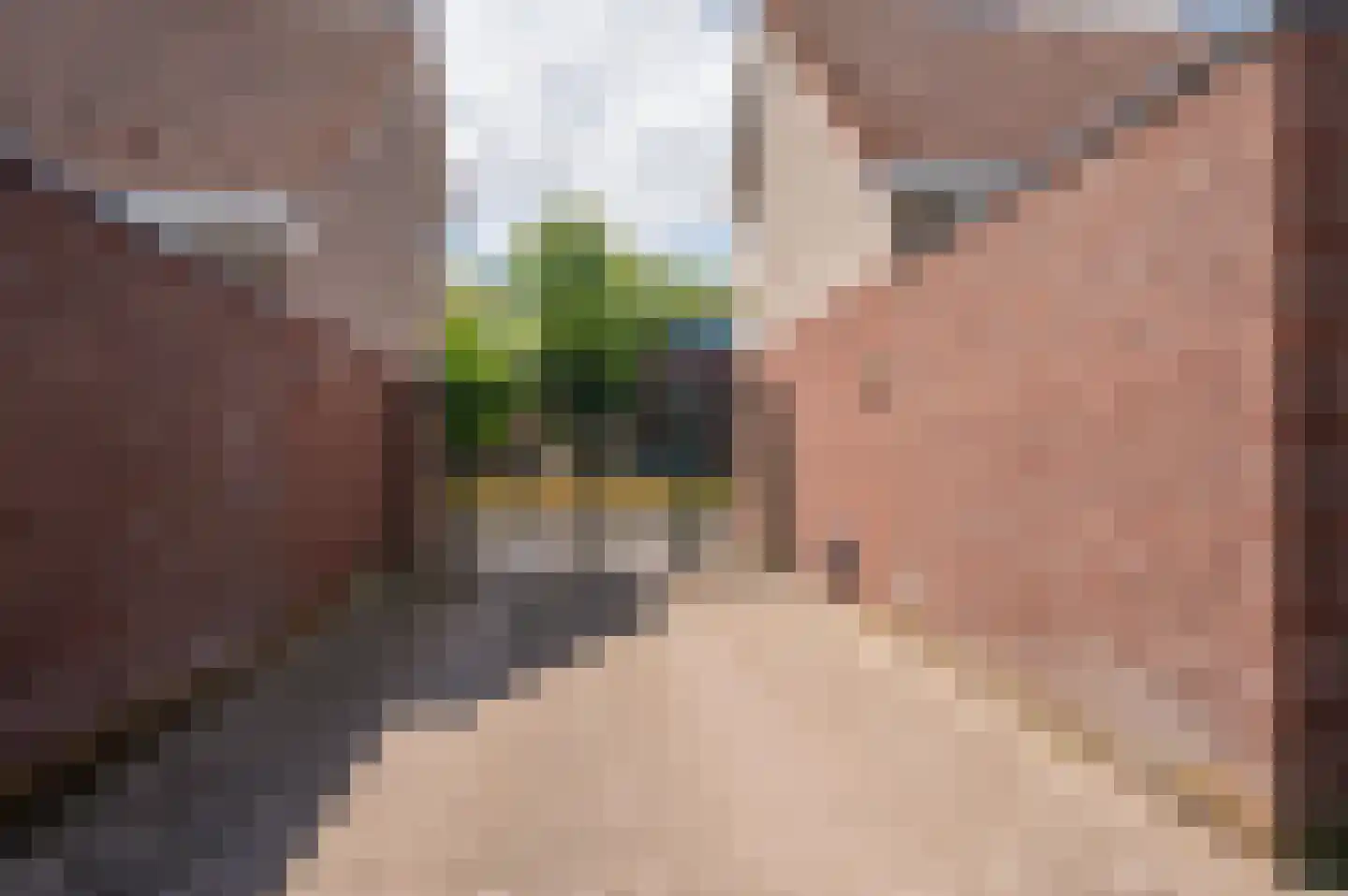 Blariacumstraat 12 Venlo thumbnail 33
