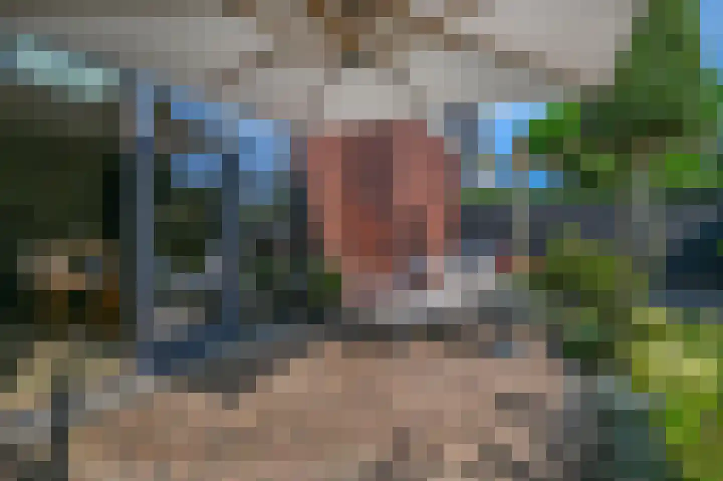 Blaricummerdreef 17 Blaricum thumbnail 19