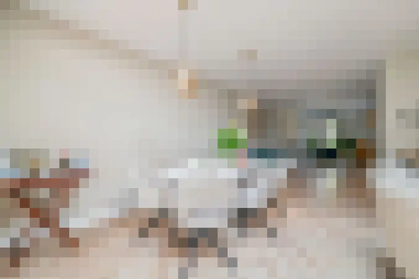 Blaricummerdreef 17 Blaricum thumbnail 28