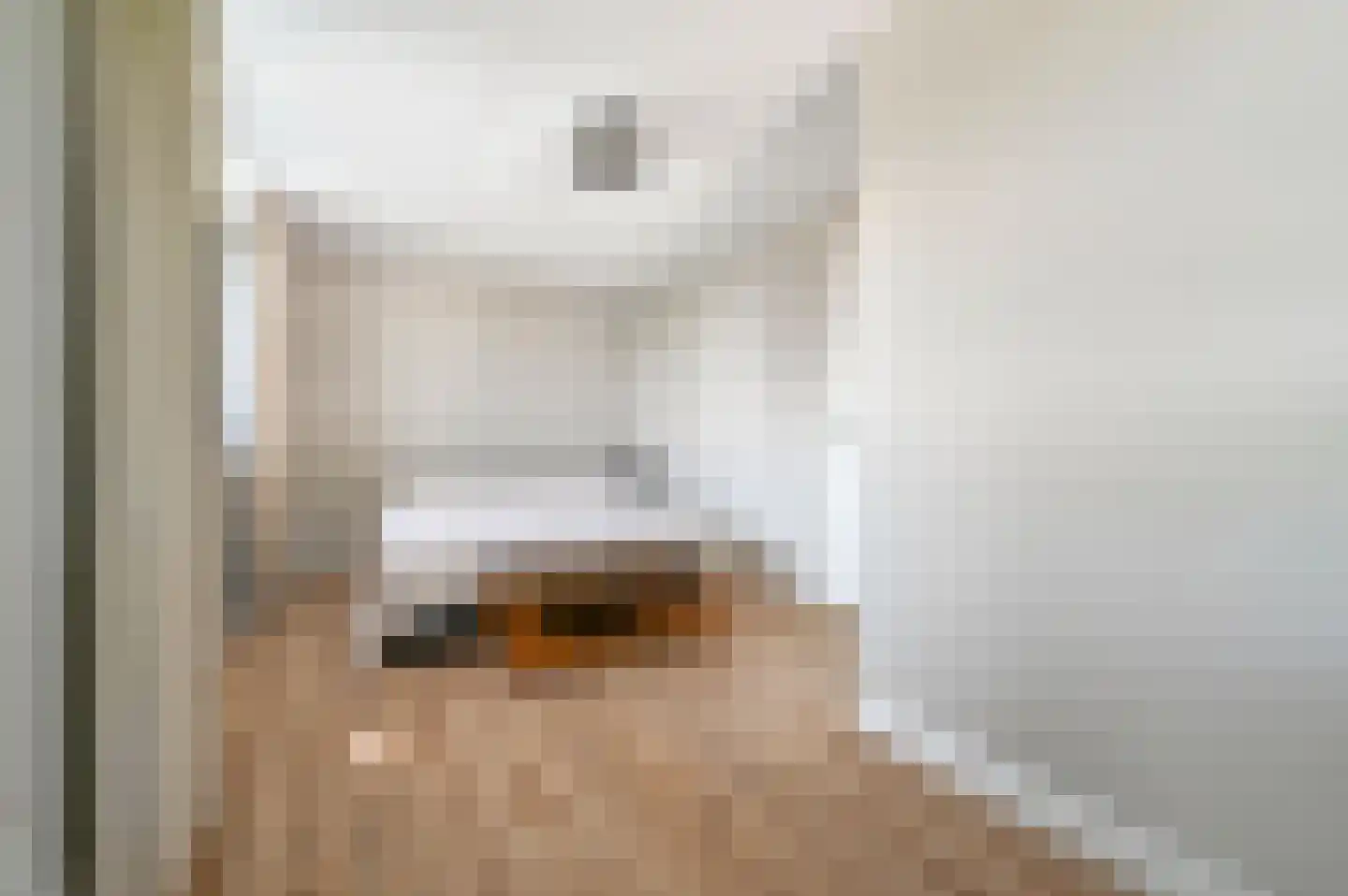 Blaricummerdreef 17 Blaricum thumbnail 39