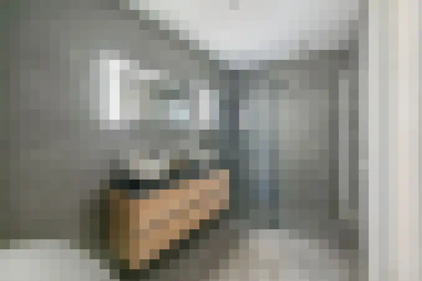 Blaricummerdreef 17 Blaricum thumbnail 42