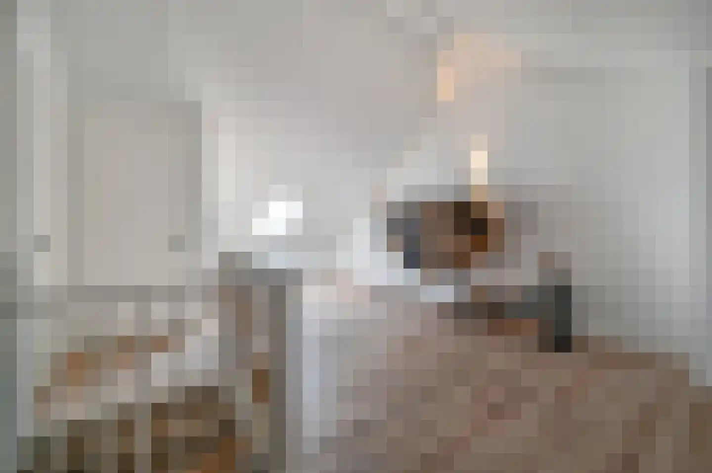 Blaricummerdreef 17 Blaricum thumbnail 46