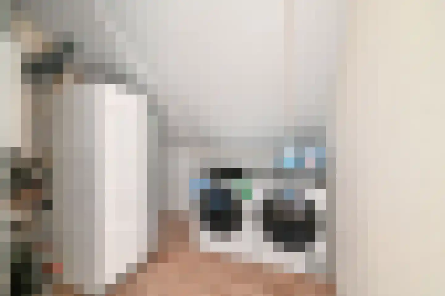 Blaricummerdreef 17 Blaricum thumbnail 48