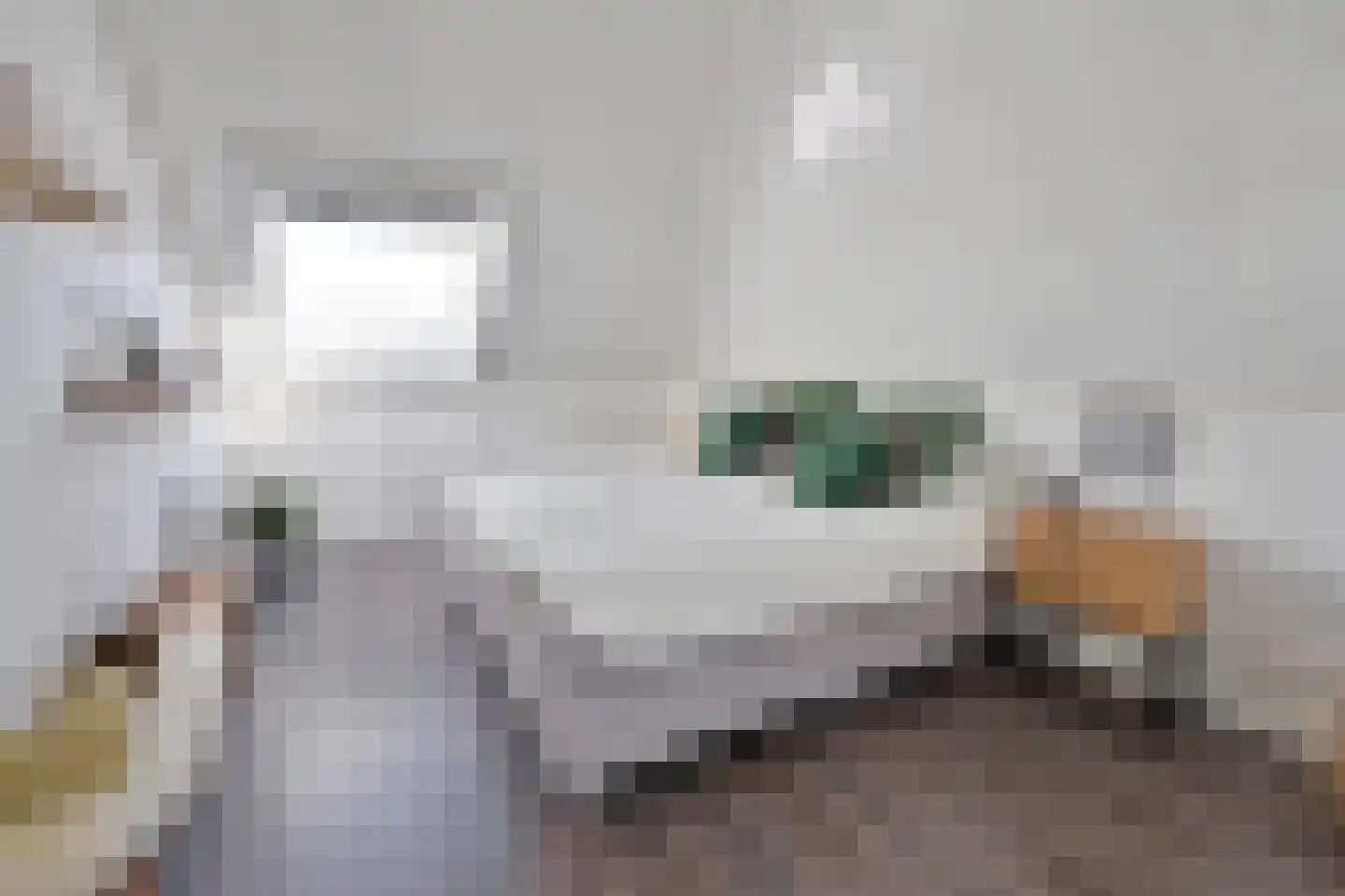 Blaricummerdreef 2 Blaricum thumbnail 17