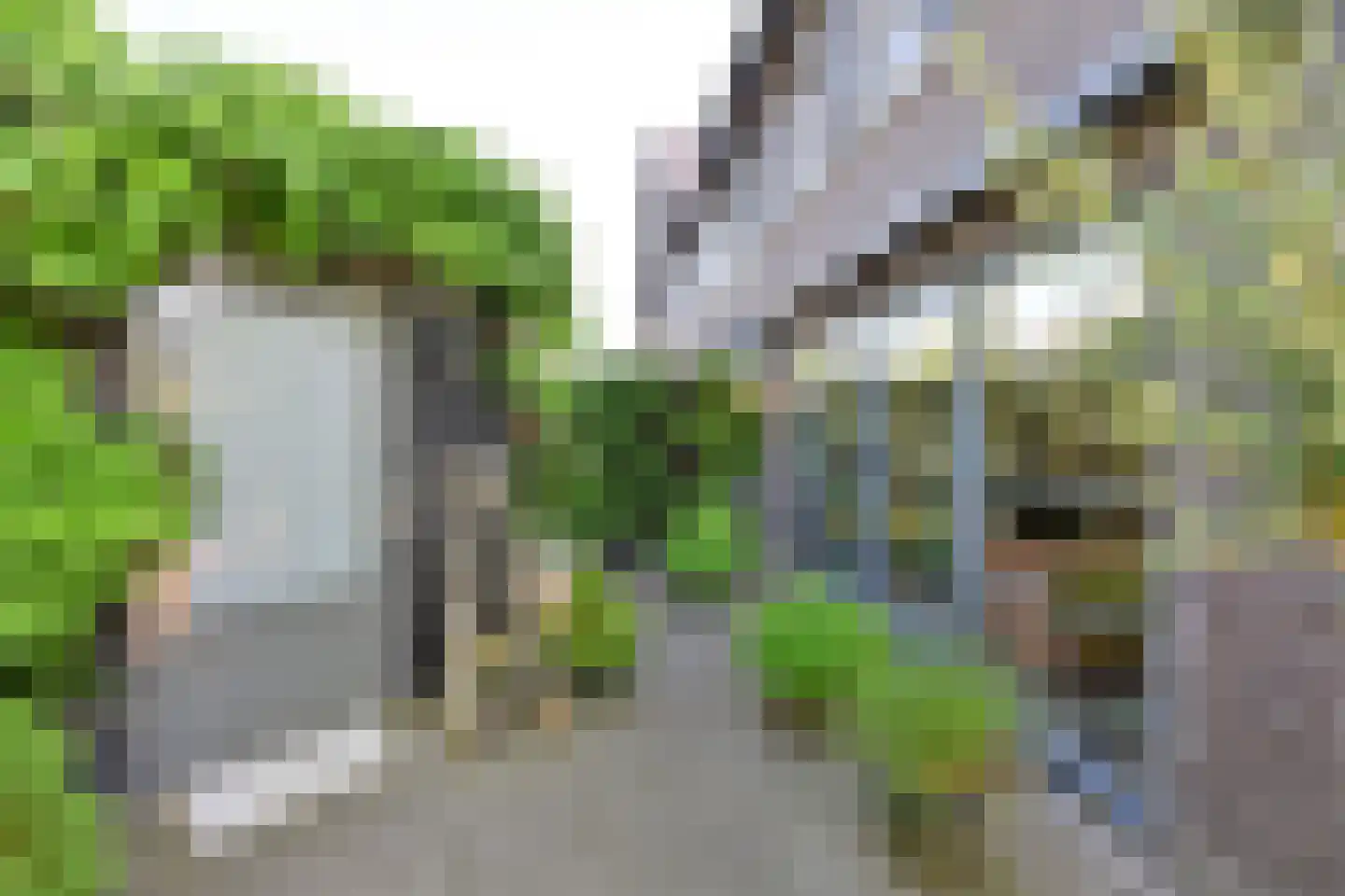 Blaricummerdreef 2 Blaricum thumbnail 23