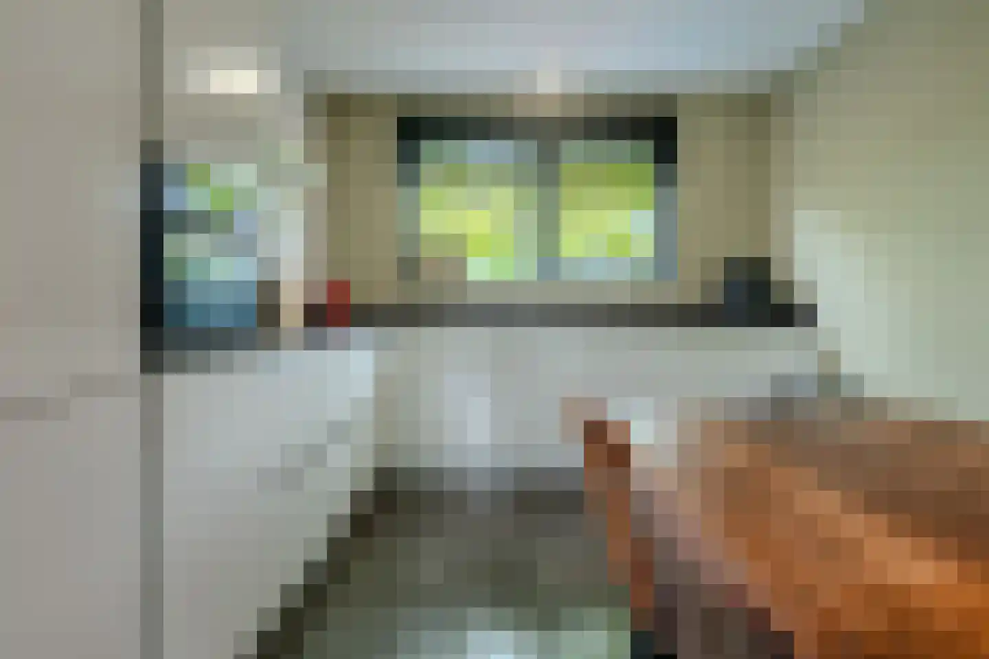 Blaricummerdreef 4 Blaricum thumbnail 10