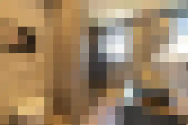 Blaricummerdreef 4 Blaricum thumbnail 12