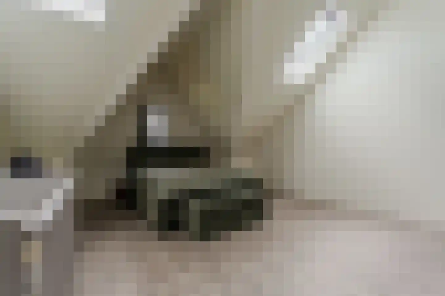 Blaricummerdreef 4 Blaricum thumbnail 12