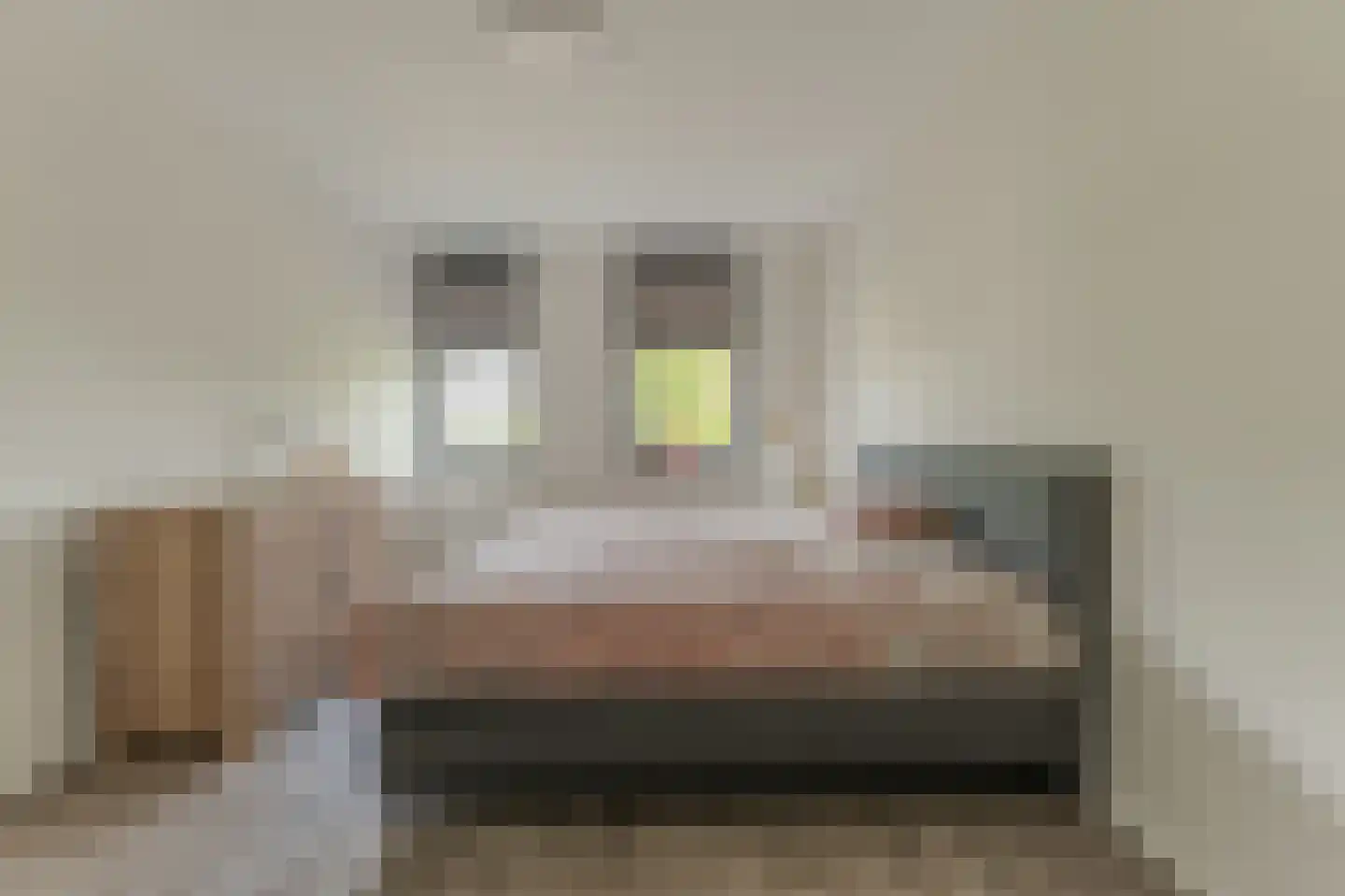 Blaricummerdreef 4 Blaricum thumbnail 14
