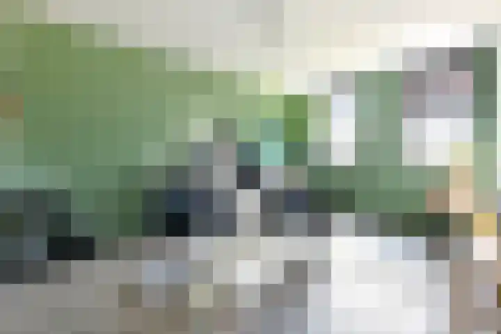 Blaricummerdreef 4 Blaricum thumbnail 15