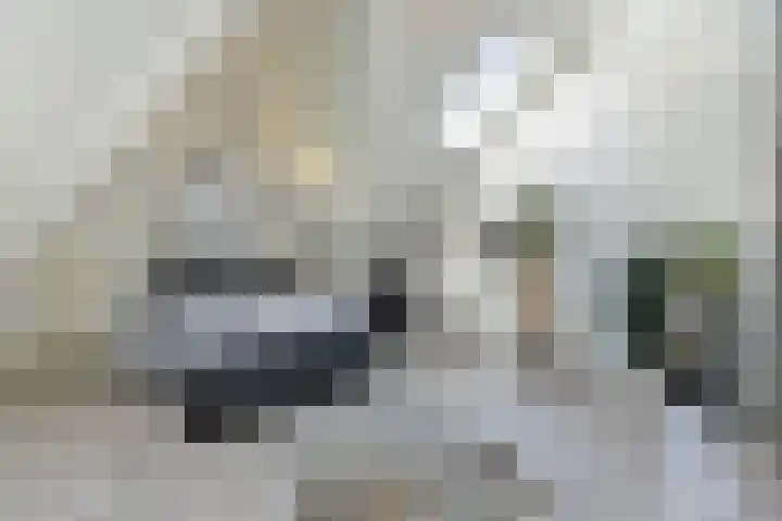 Blaricummerdreef 4 Blaricum thumbnail 17