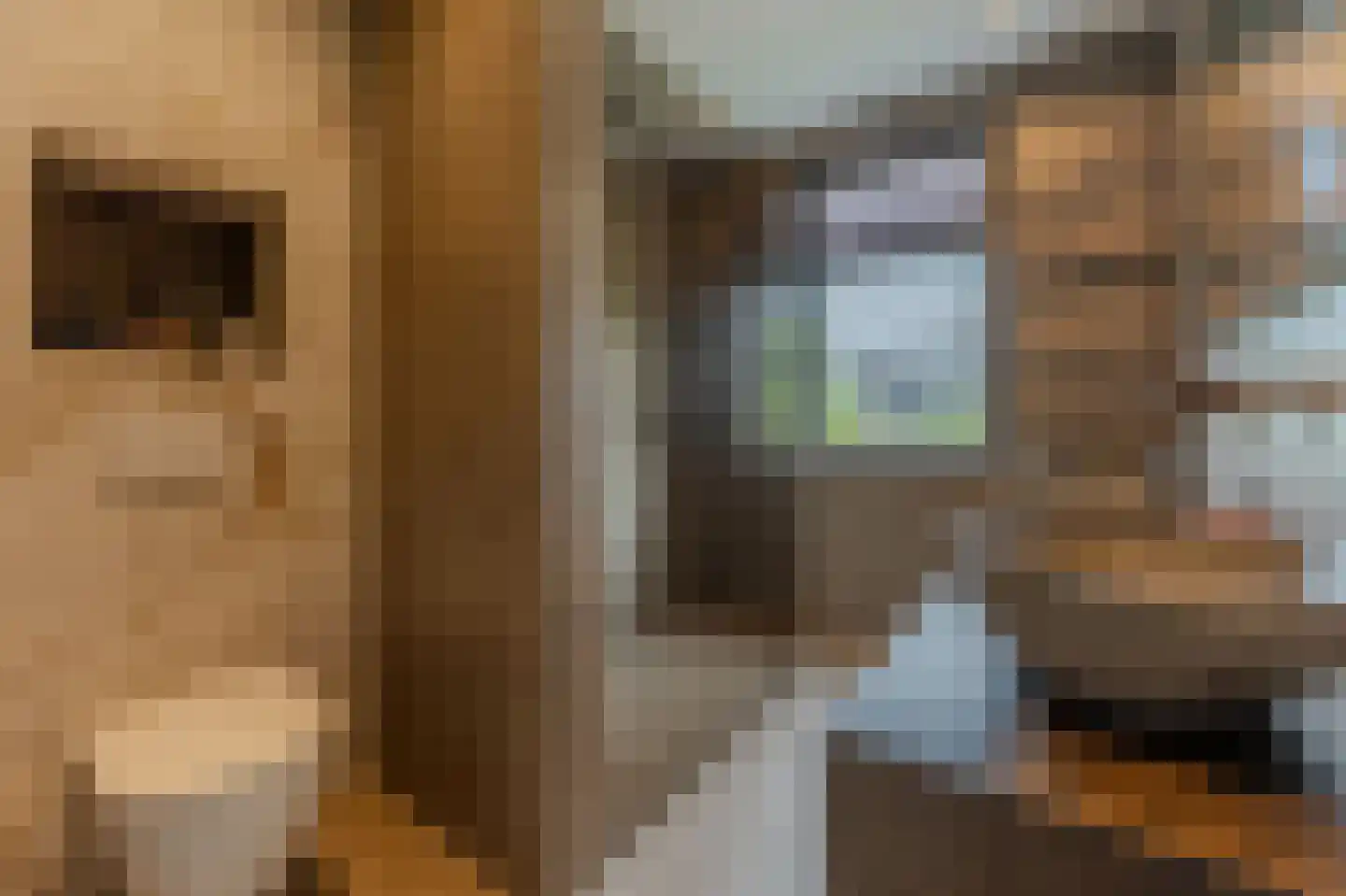 Blaricummerdreef 4 Blaricum thumbnail 17