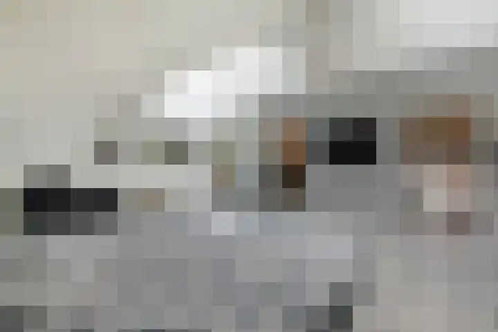 Blaricummerdreef 4 Blaricum thumbnail 18