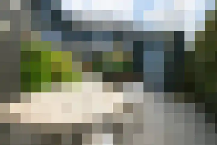 Blaricummerdreef 4 Blaricum thumbnail 23