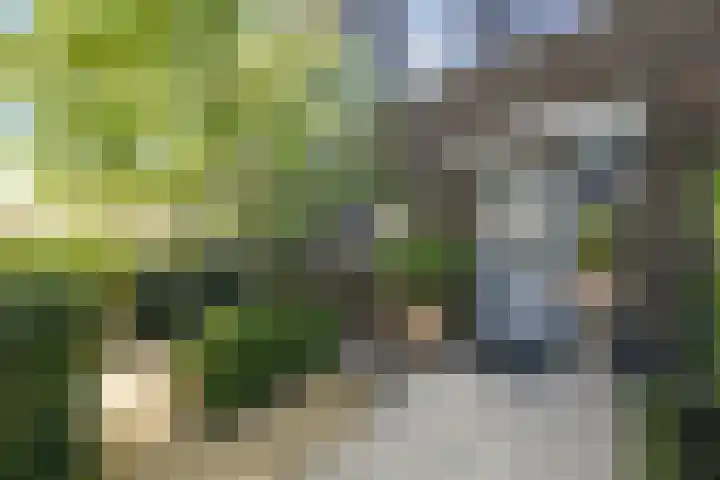 Blaricummerdreef 4 Blaricum thumbnail 24