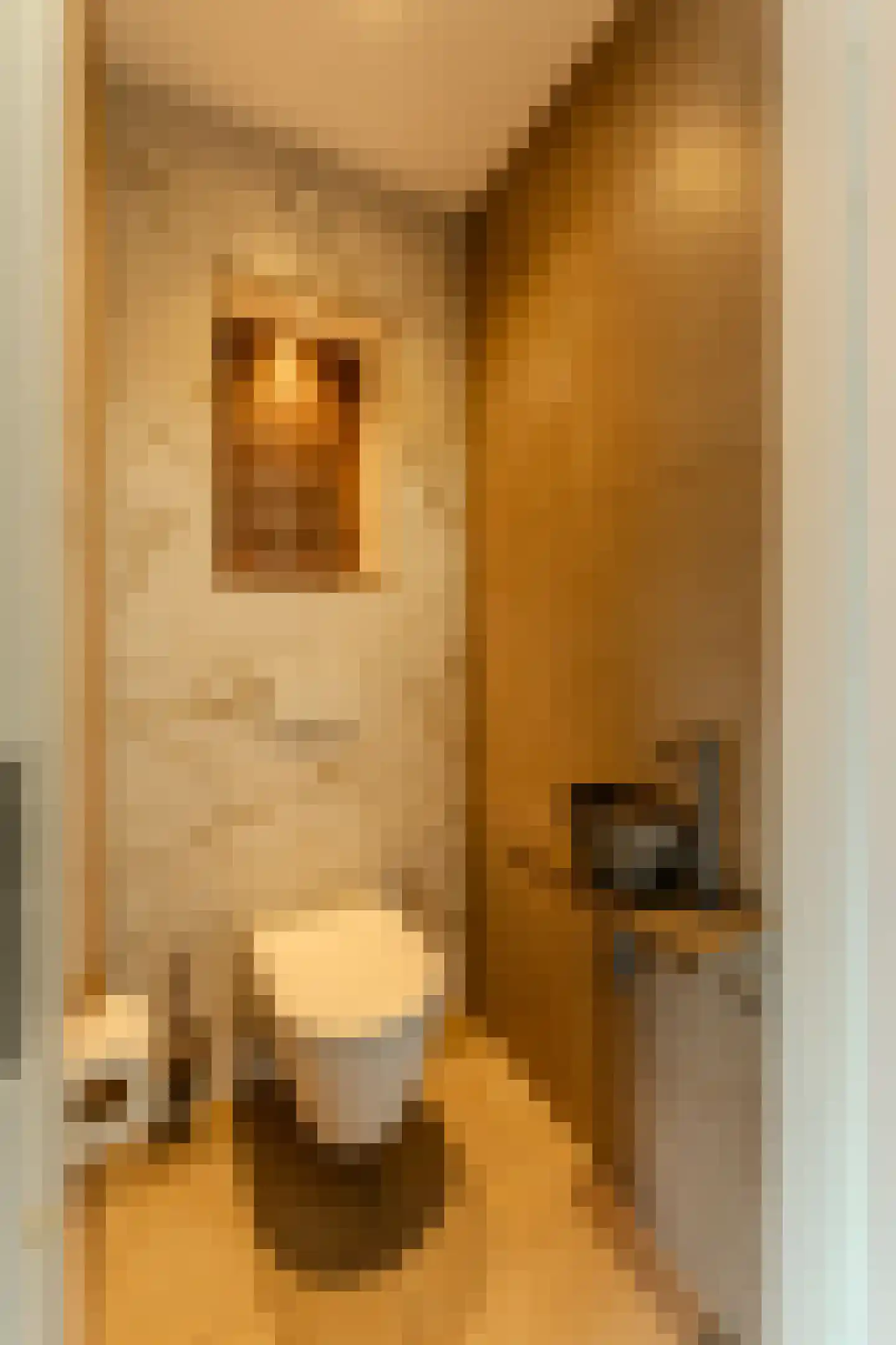 Blaricummerdreef 4 Blaricum thumbnail 6