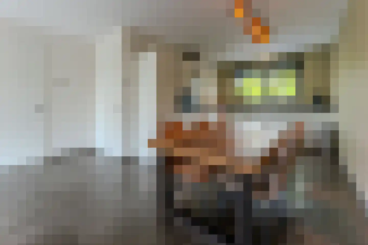 Blaricummerdreef 4 Blaricum thumbnail 8