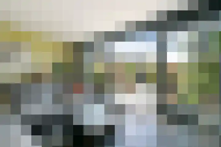 Blaricummerdreef 4 Blaricum thumbnail 9