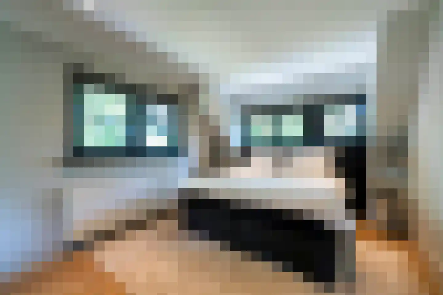 Blaricummertollaan 6 Laren thumbnail 29