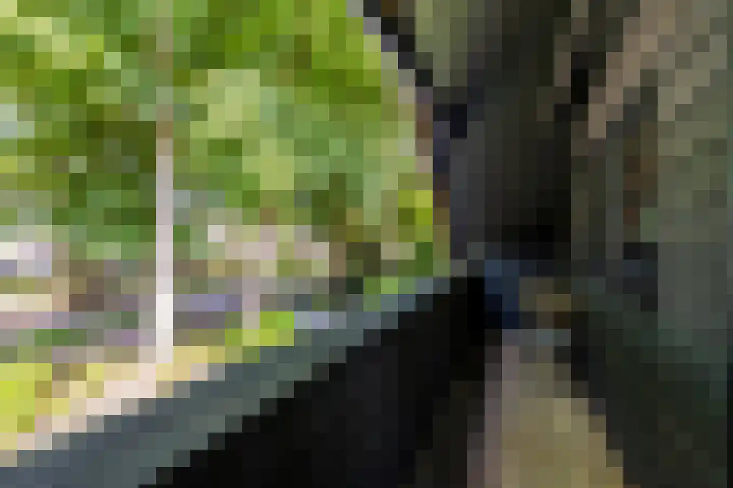 Blaricummertollaan 6 Laren thumbnail 31