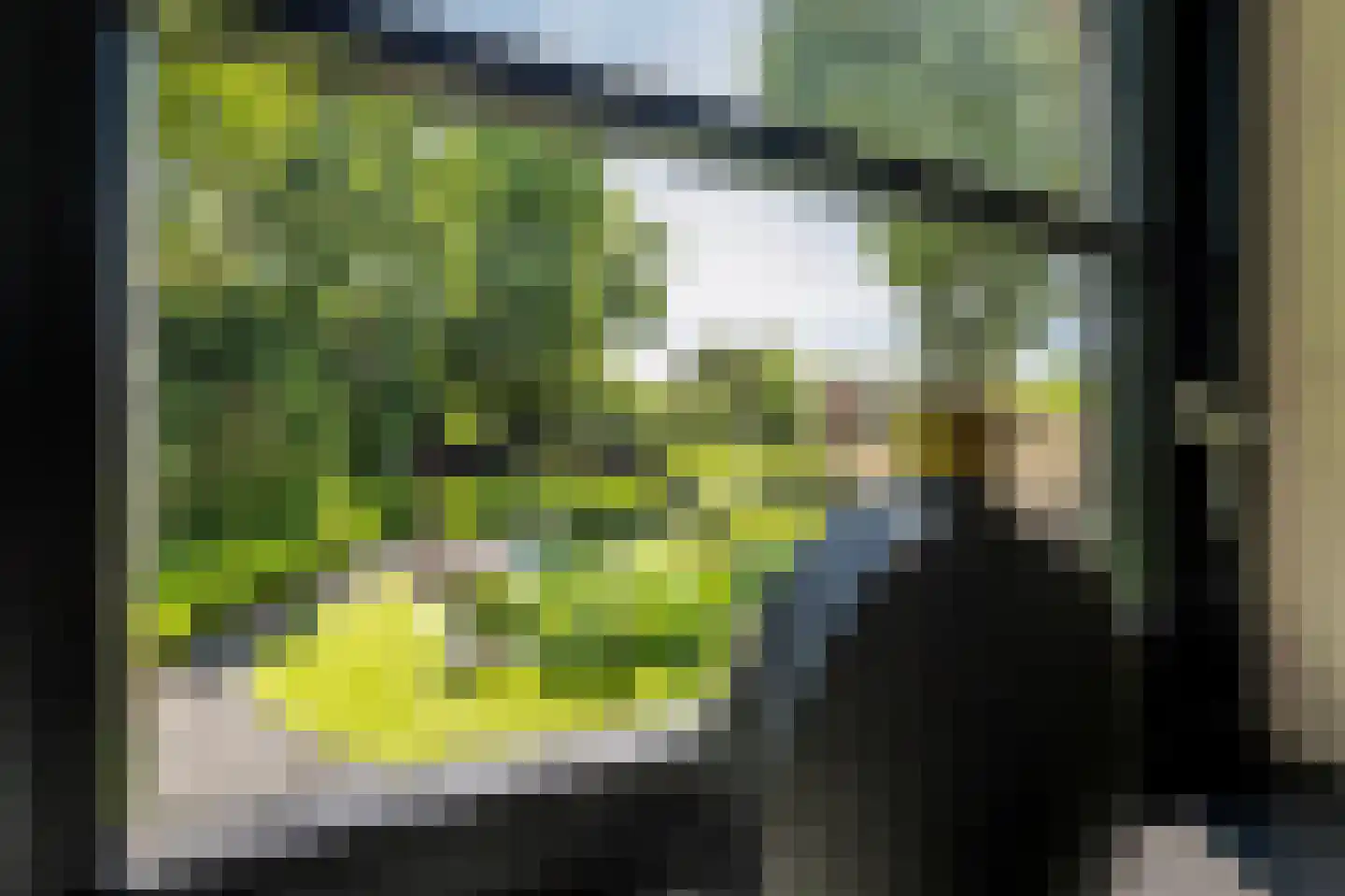 Blaricummertollaan 6 Laren thumbnail 40