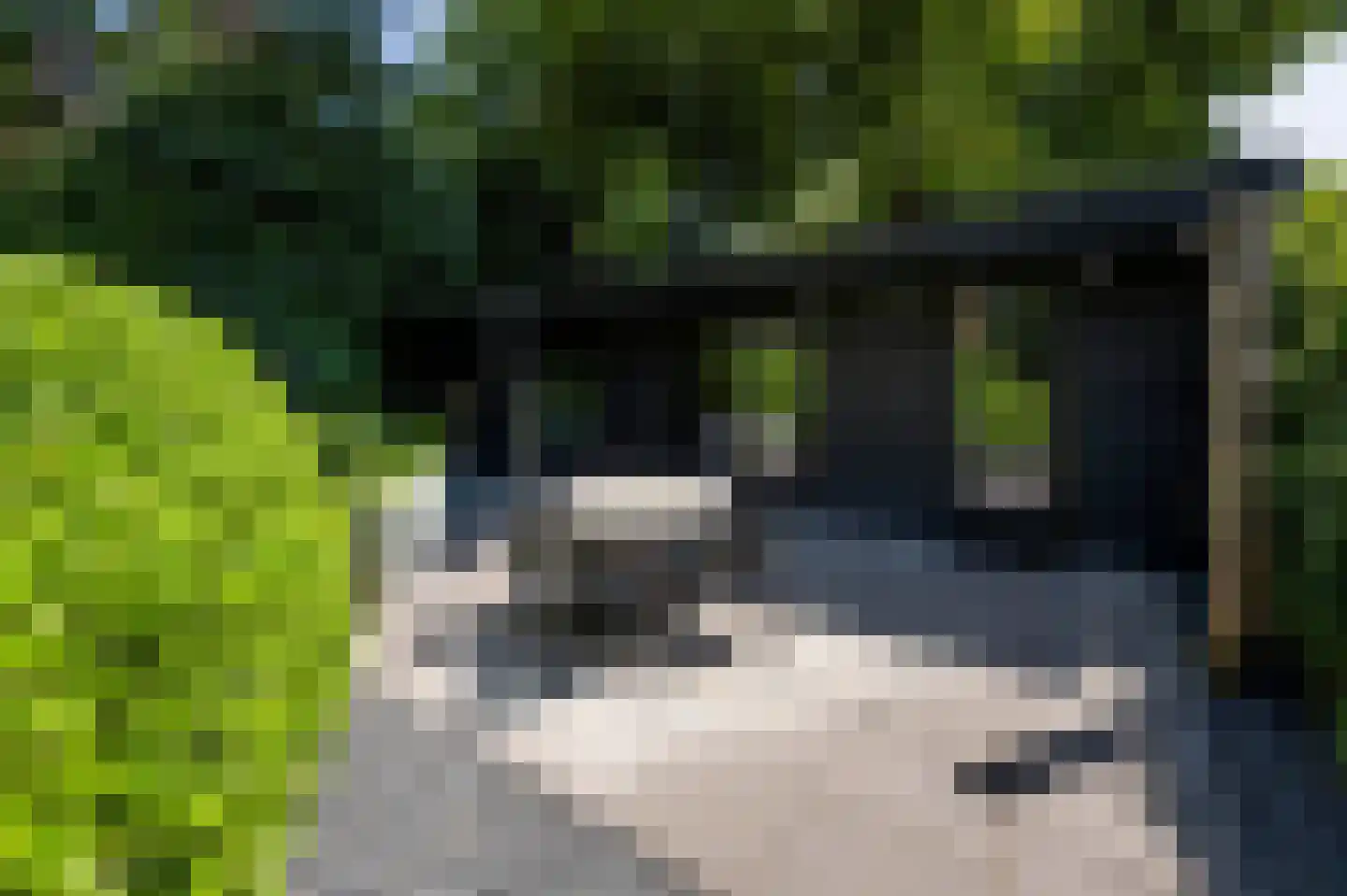 Blaricummertollaan 6 Laren thumbnail 48