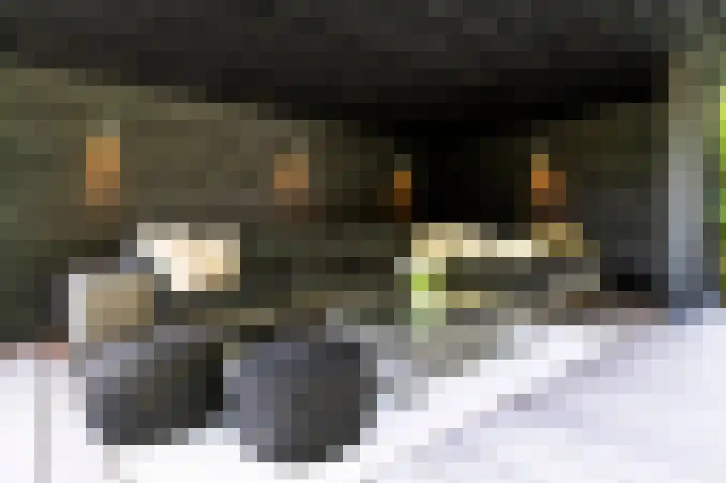 Blaricummertollaan 6 Laren thumbnail 55