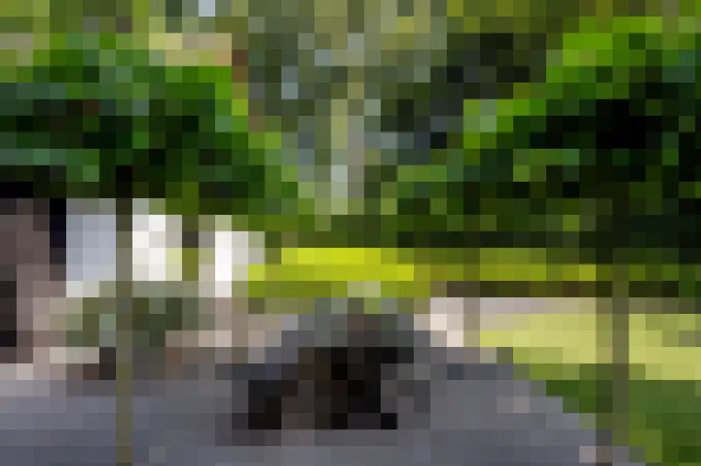 Blaricummertollaan 6 Laren thumbnail 56