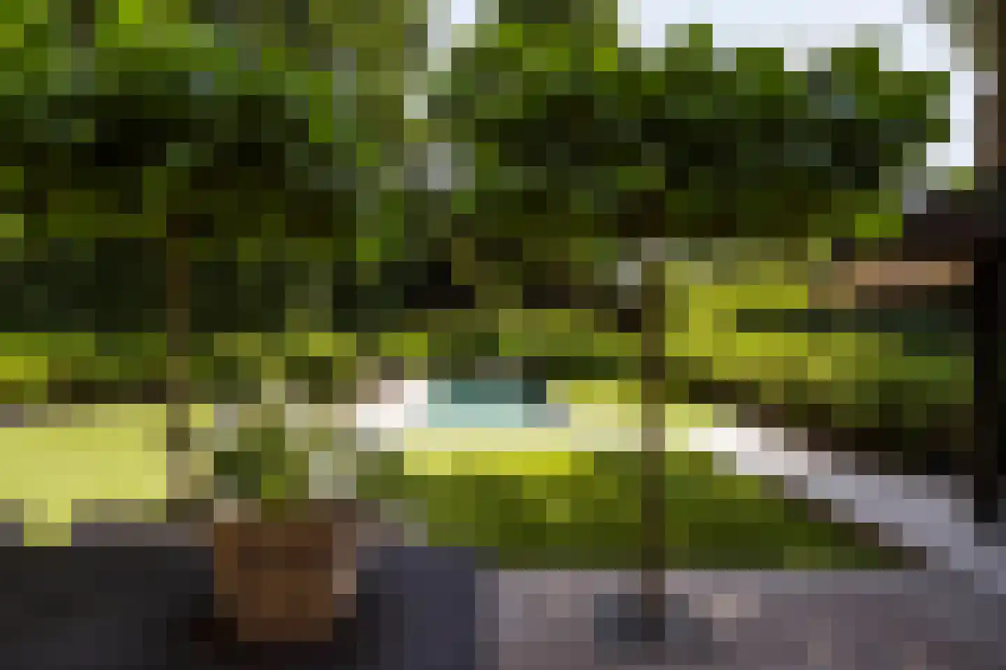 Blaricummertollaan 6 Laren thumbnail 59