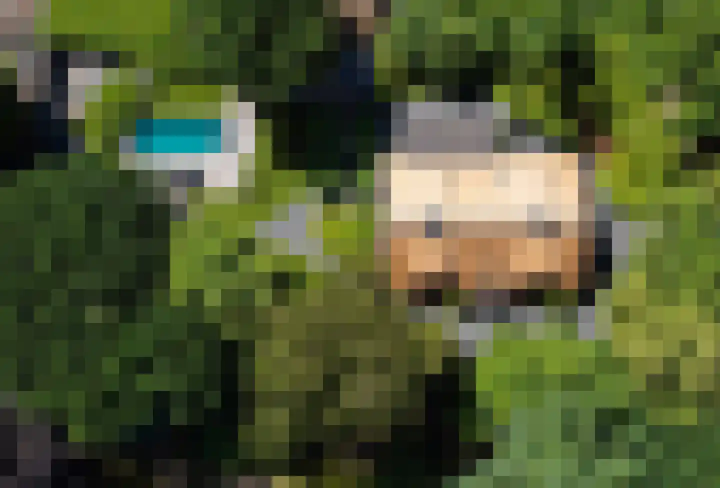 Blaricummertollaan 6 Laren thumbnail 62