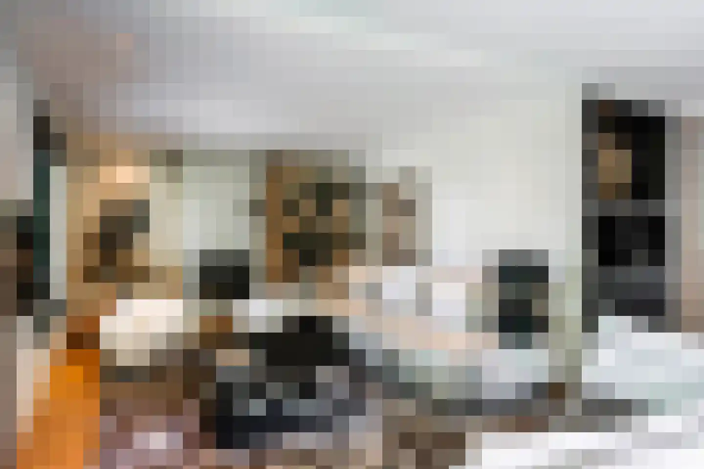 Blaricummertollaan 6 Laren thumbnail 8