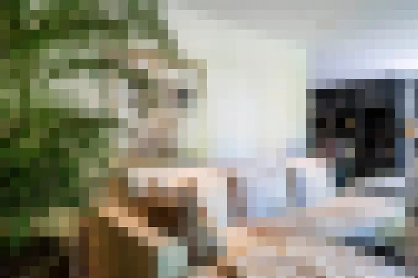 Blaricummertollaan 6 Laren thumbnail 9