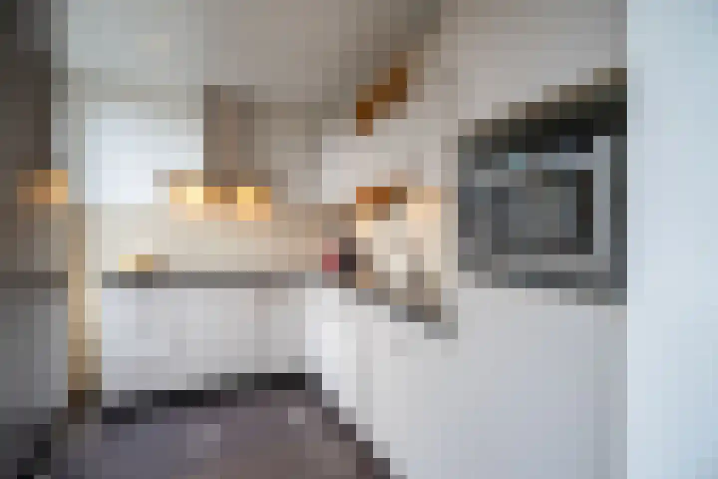 Blaricumparklaan 45 Tilburg thumbnail 7