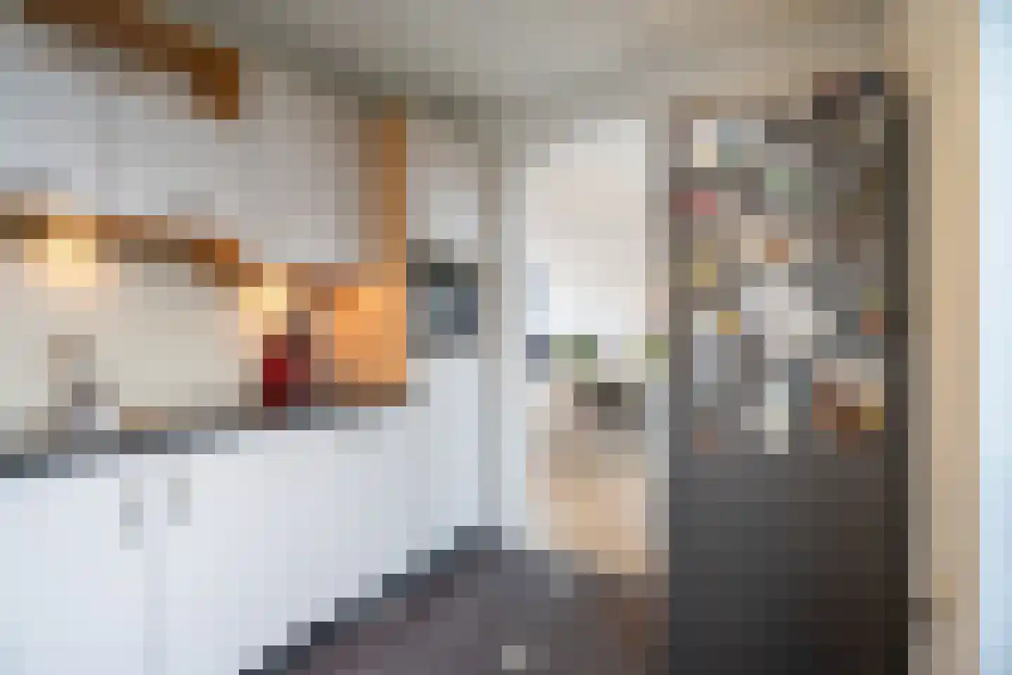 Blaricumparklaan 45 Tilburg thumbnail 8