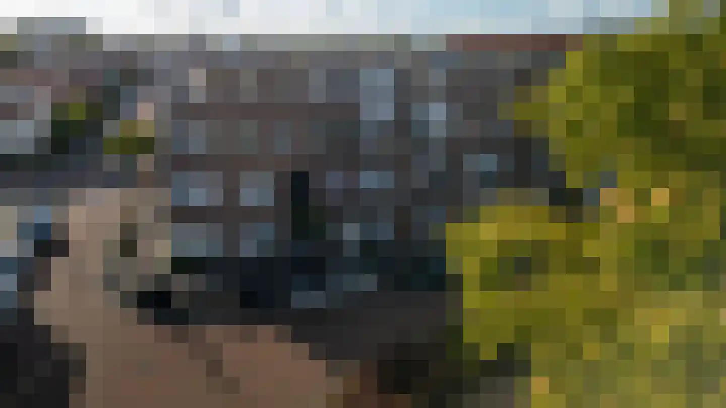 Blaricumseplein 23 Den Haag thumbnail 64