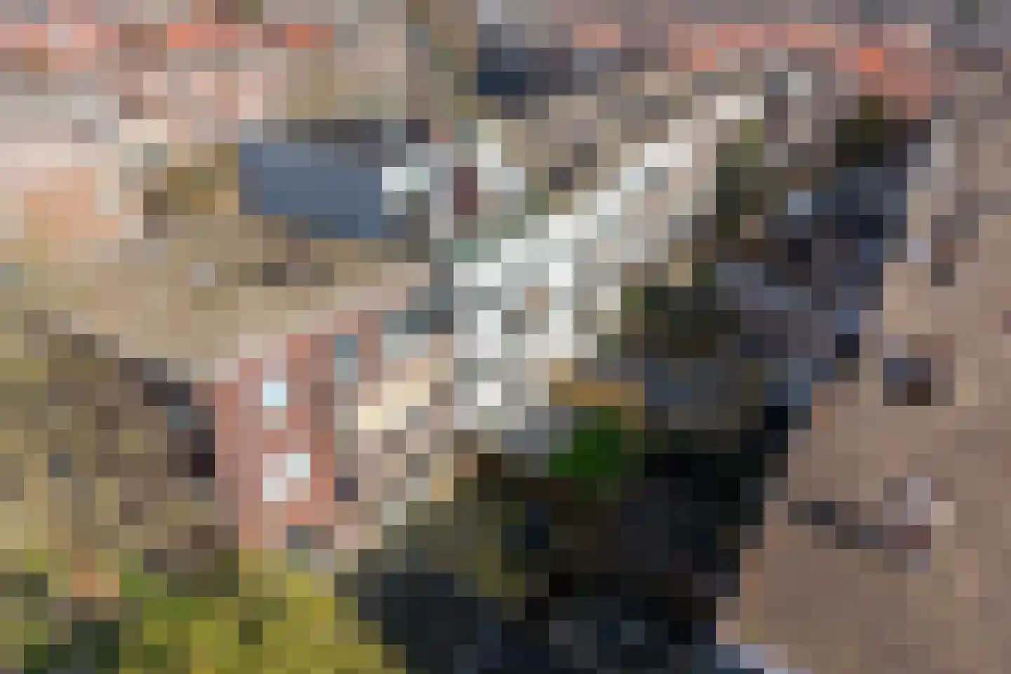 Blaricumseplein 29 Den Haag thumbnail 23