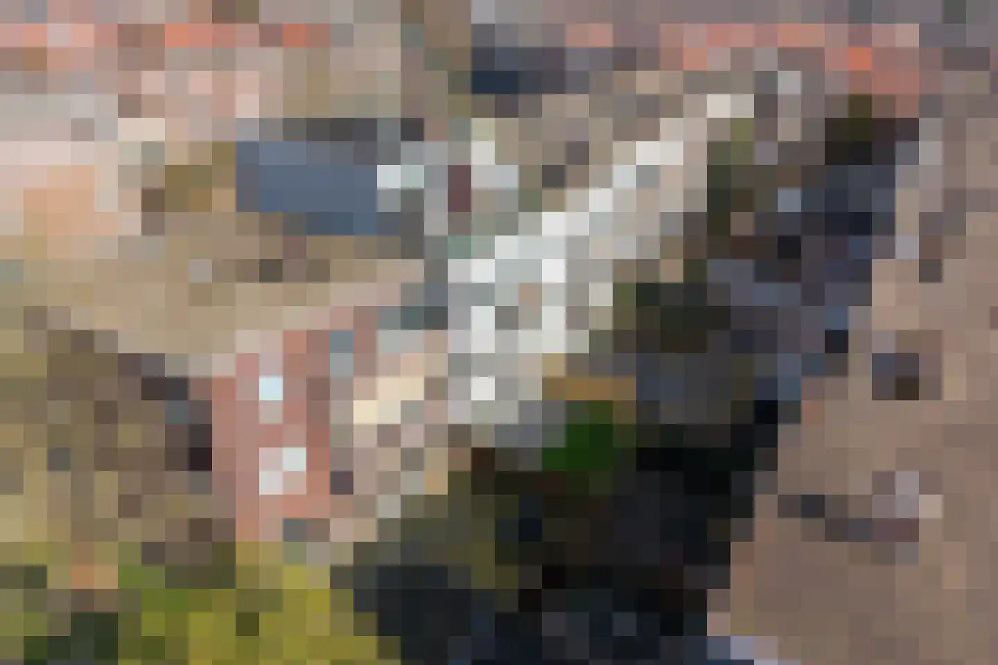 Blaricumseplein 29 Den Haag thumbnail 26