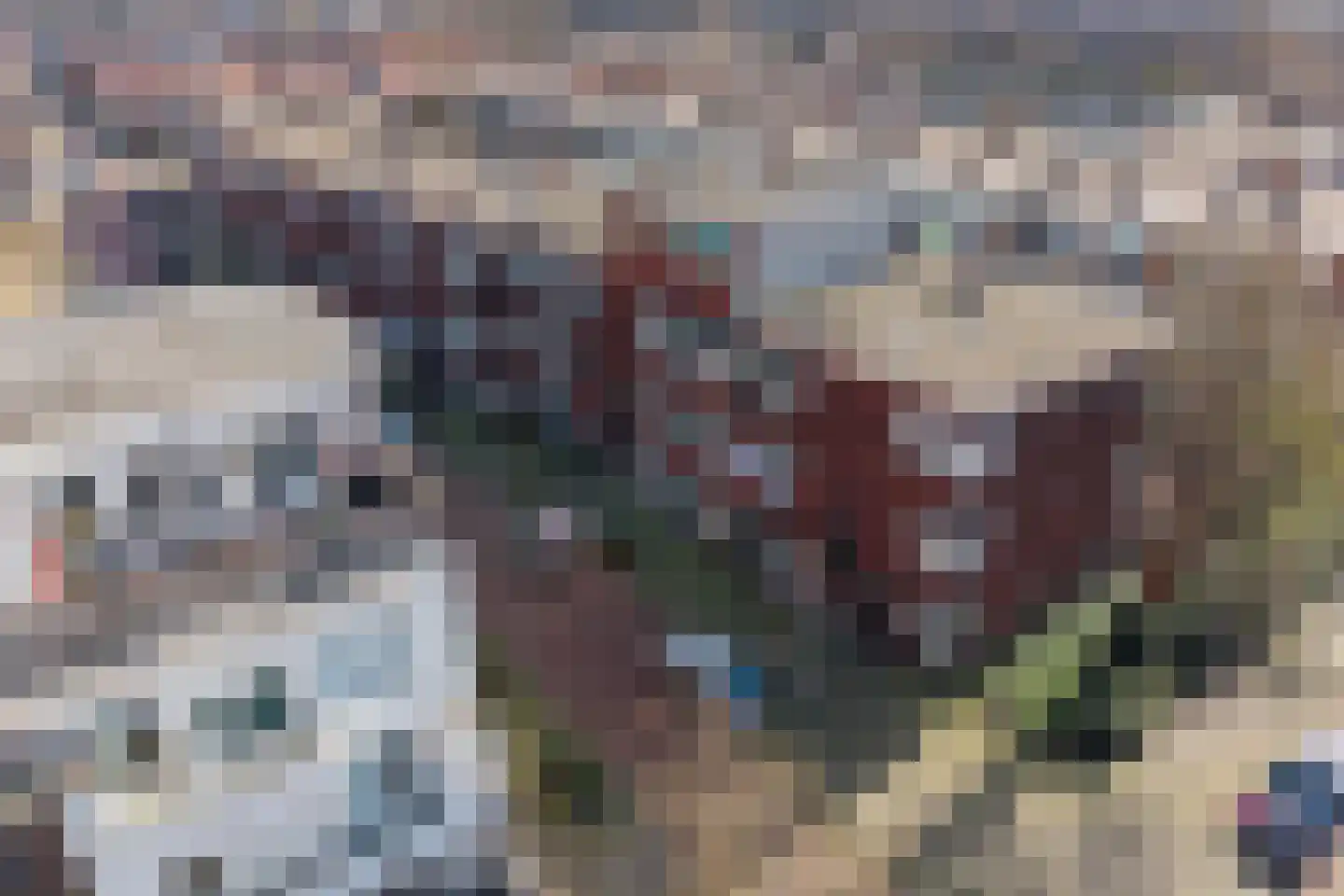 Blaricumseplein 29 Den Haag thumbnail 26