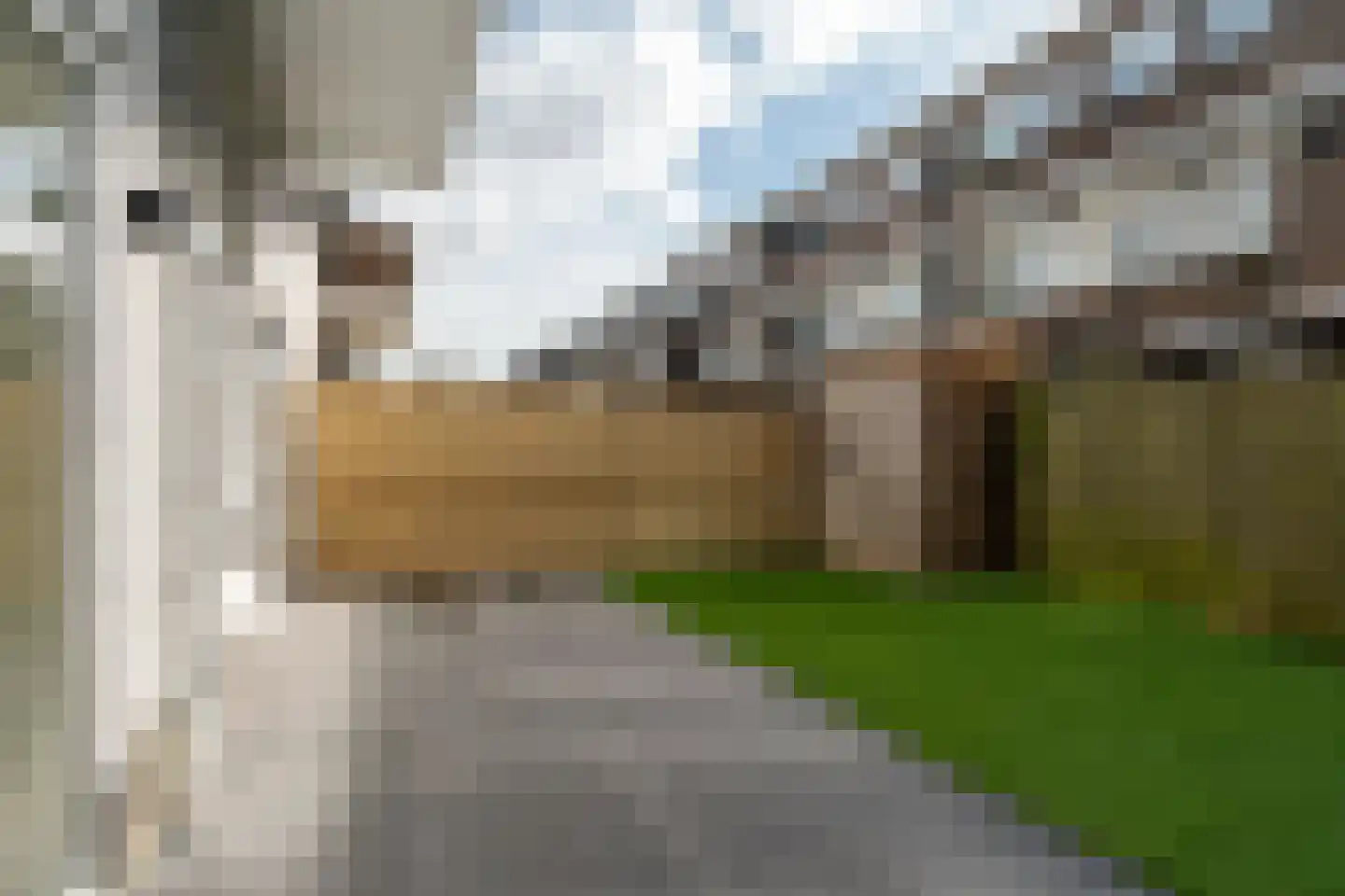 Blaricumseplein 29 Den Haag thumbnail 30