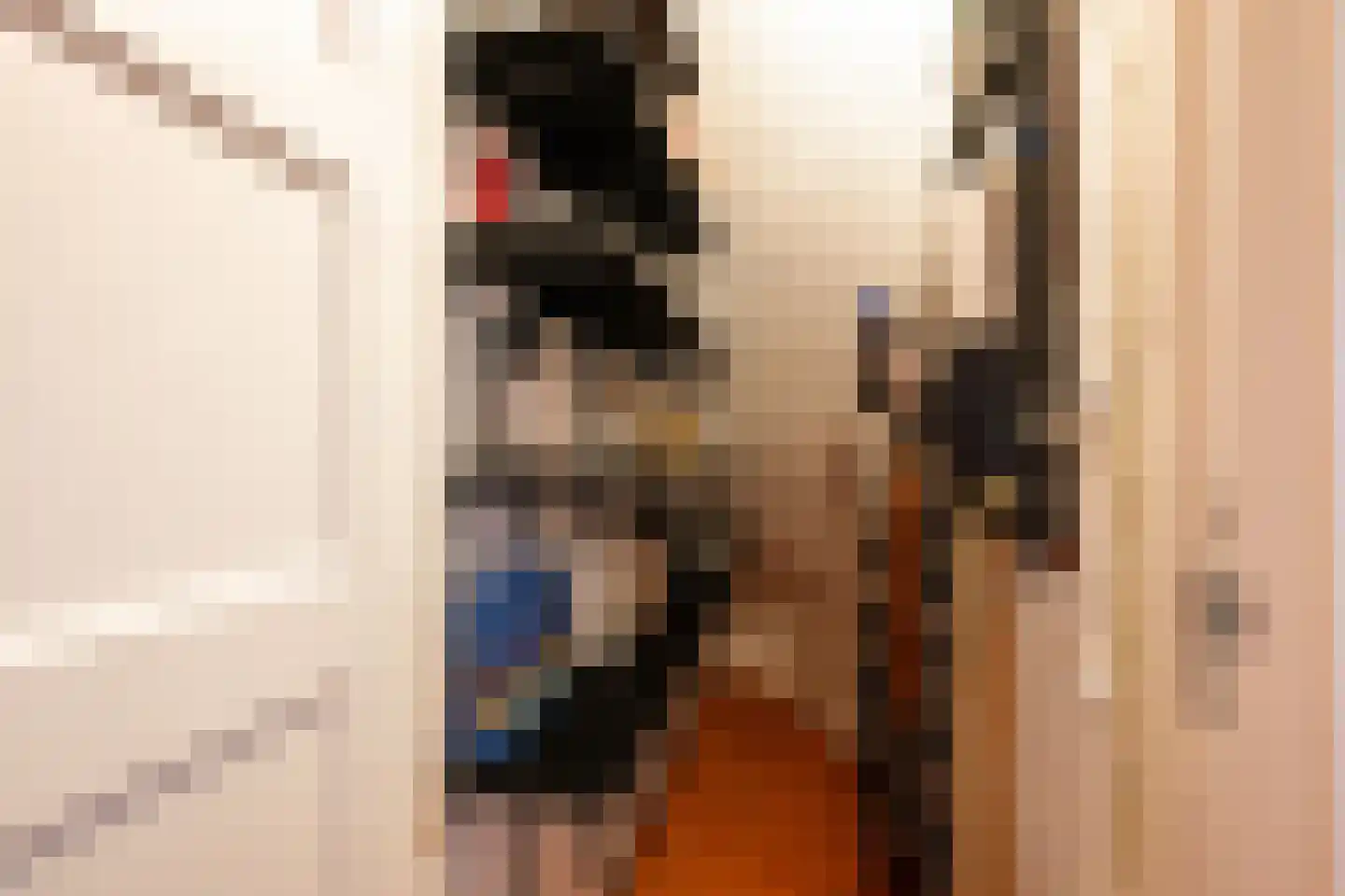 Blaricumseplein 69 Den Haag thumbnail 19