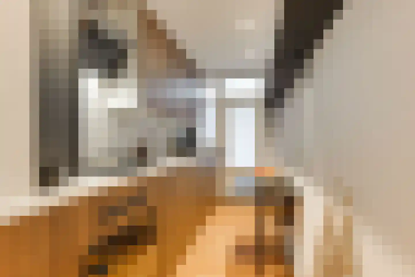 Blaricumseplein 69 Den Haag thumbnail 4
