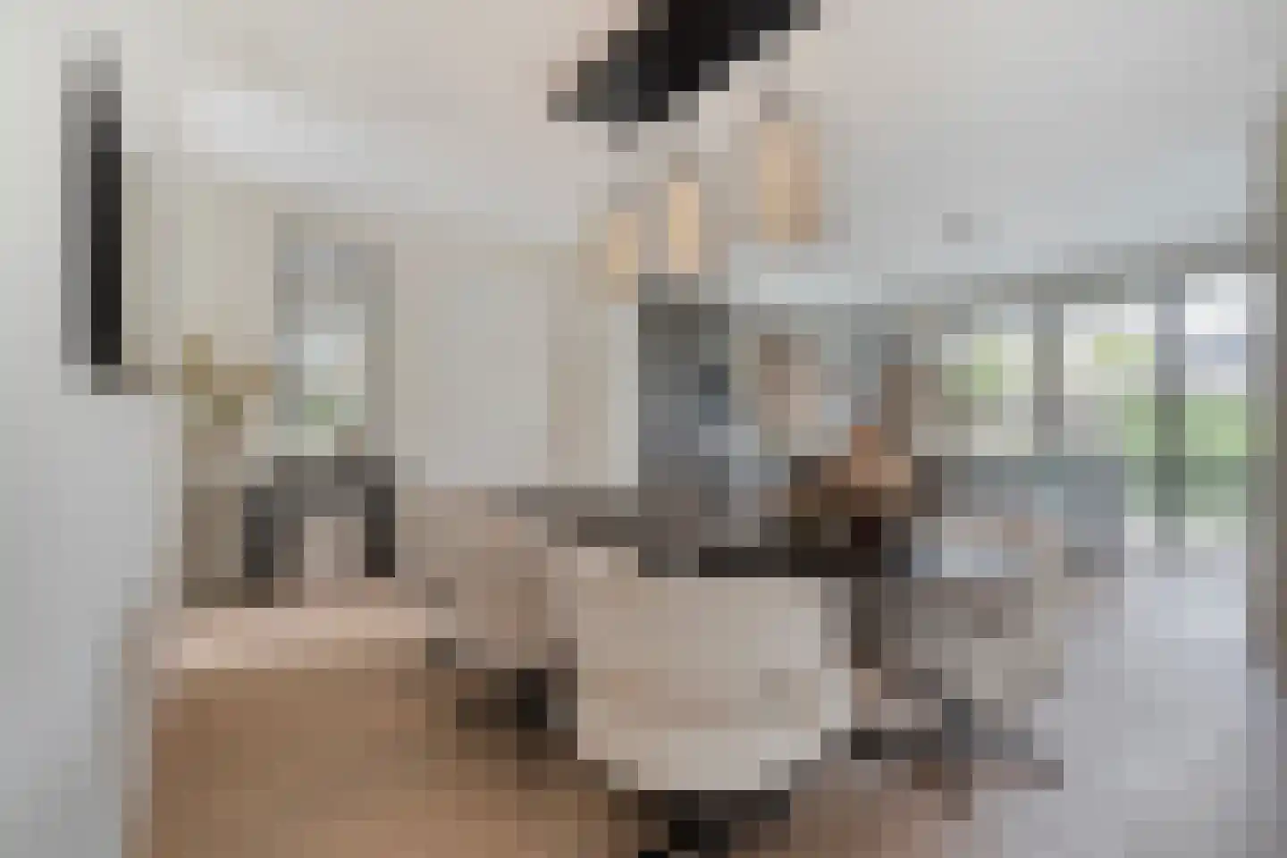 Blasiuslaan 3 Almelo thumbnail 12