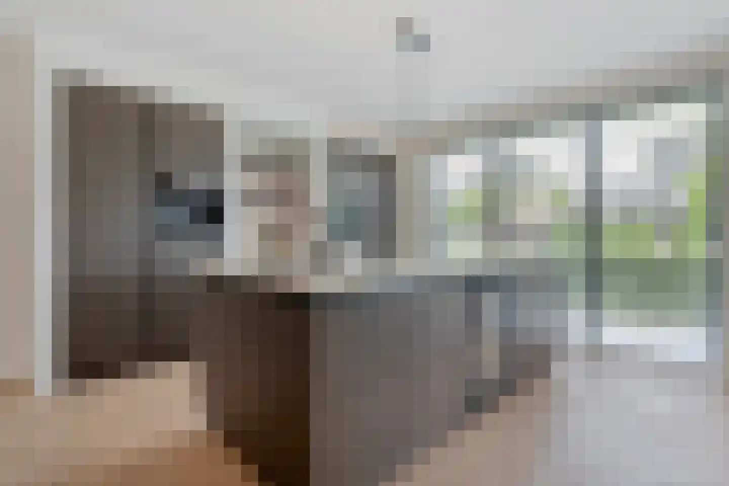 Blasiuslaan 3 Almelo thumbnail 13