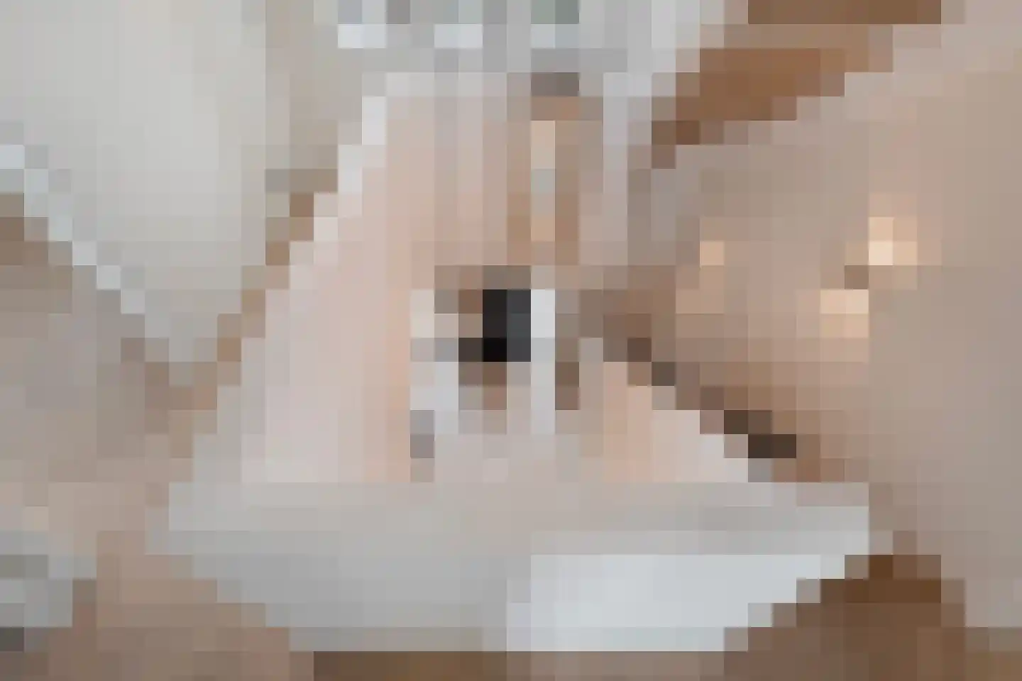 Blasiuslaan 3 Almelo thumbnail 21