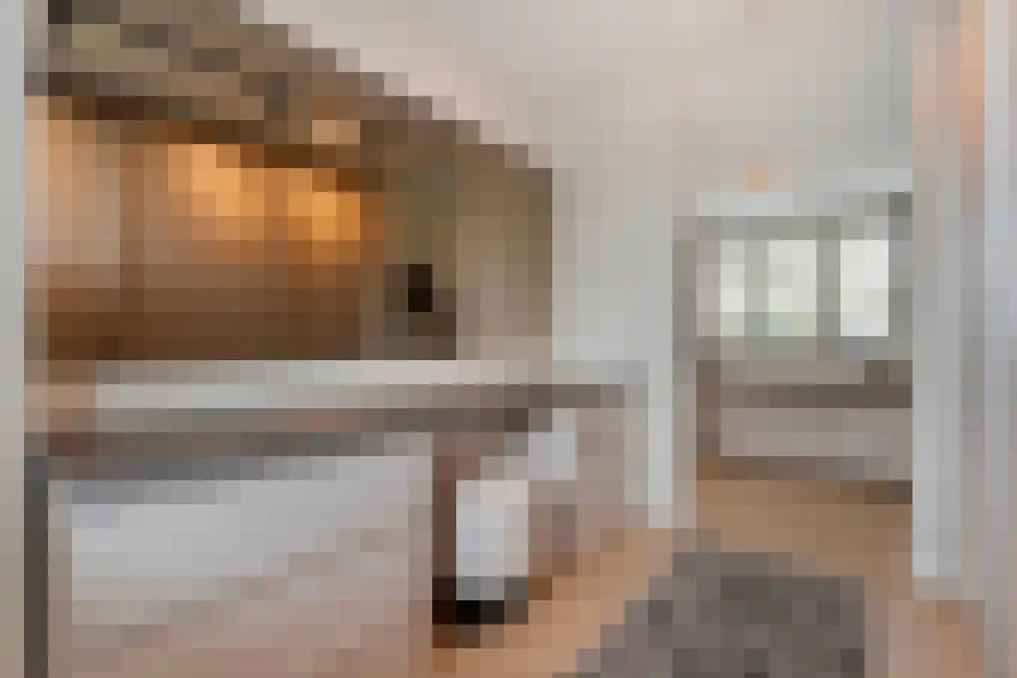 Blasiuslaan 3 Almelo thumbnail 24