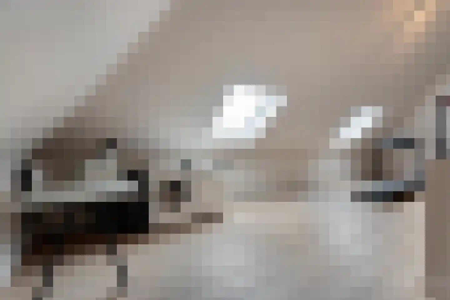Blasiuslaan 3 Almelo thumbnail 30