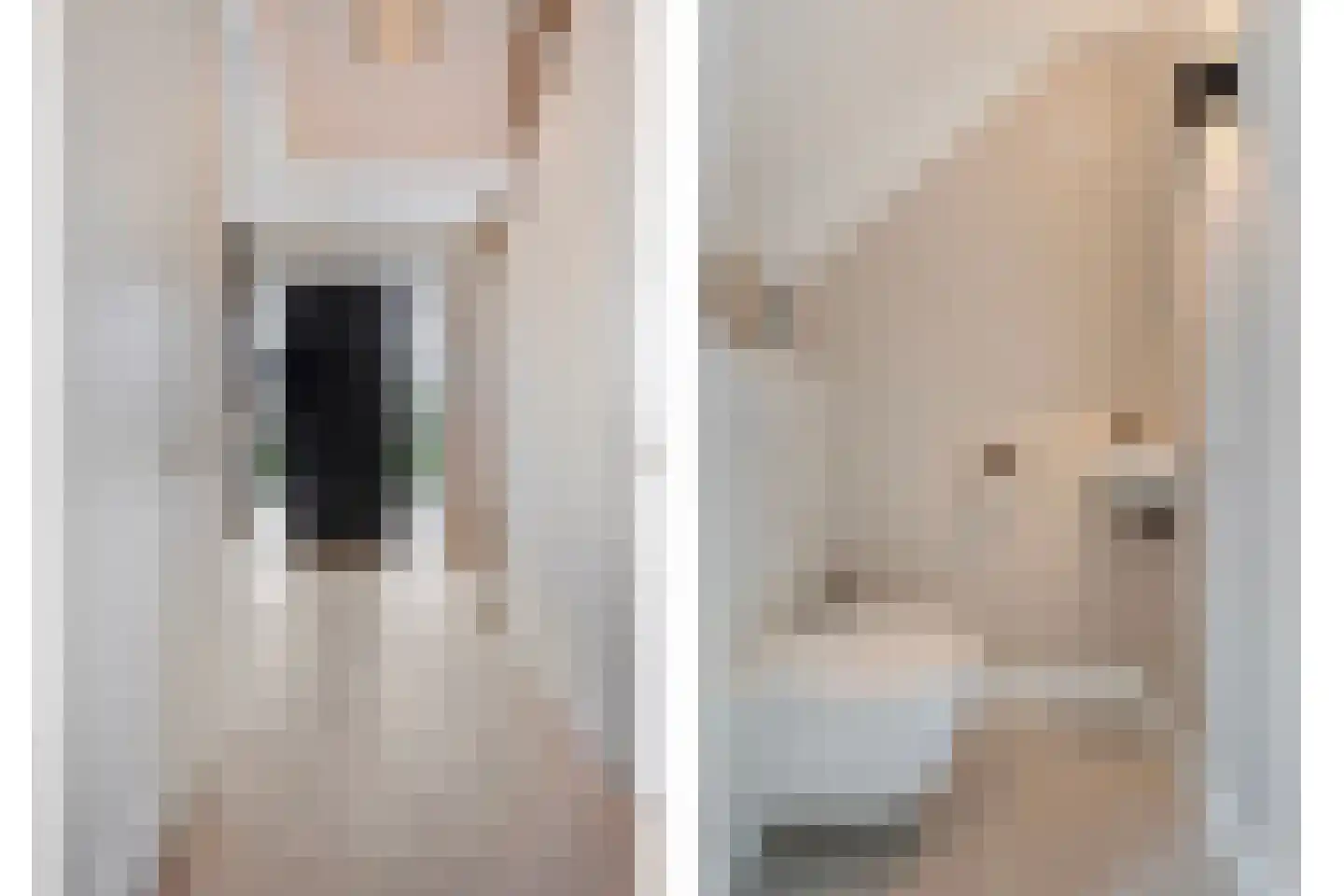 Blasiuslaan 3 Almelo thumbnail 6