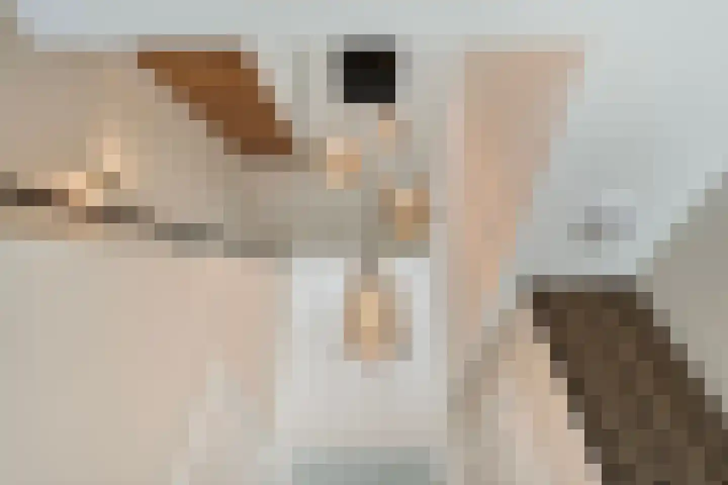 Blasiuslaan 3 Almelo thumbnail 7