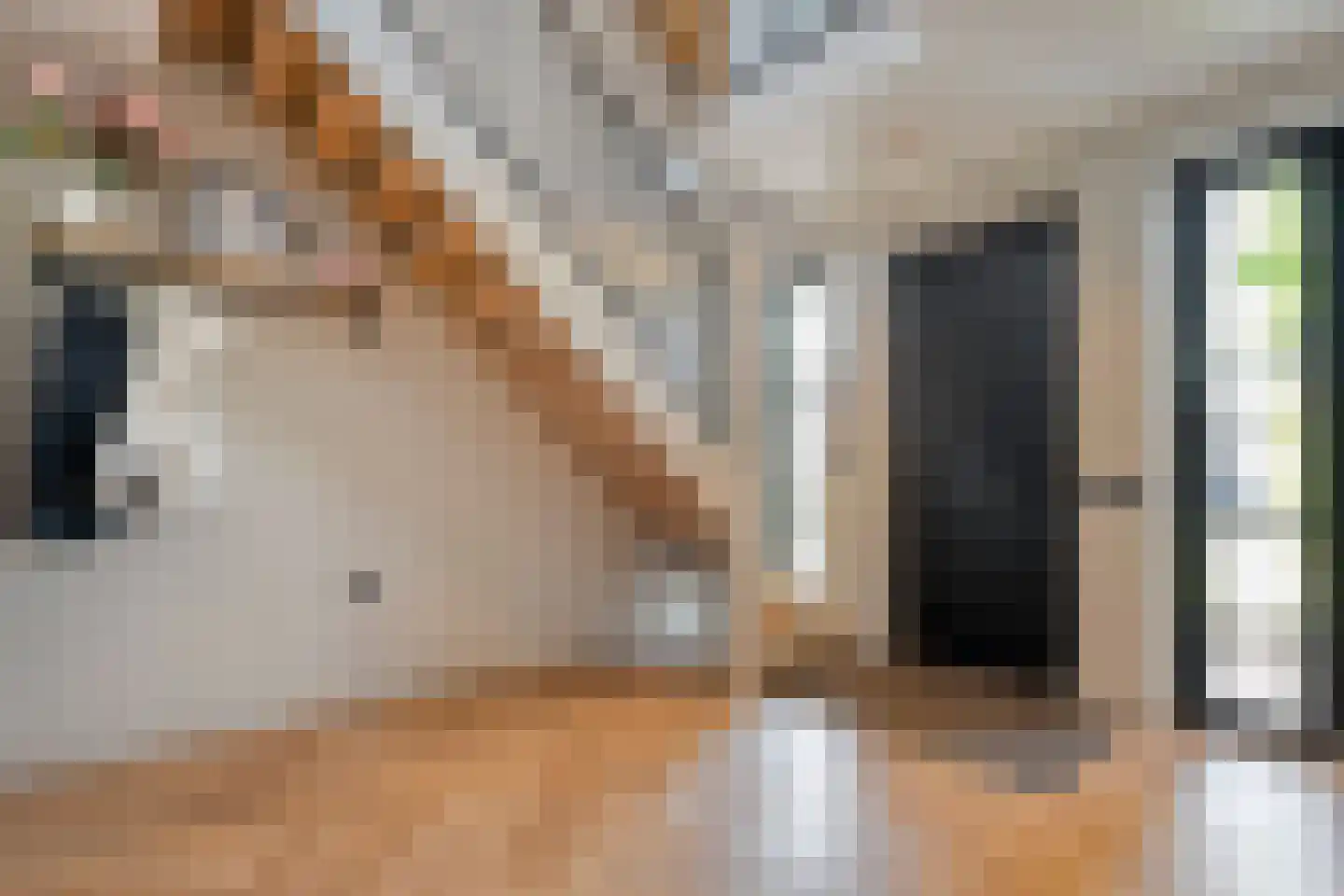 Blasiuslaan 7 Almelo thumbnail 10
